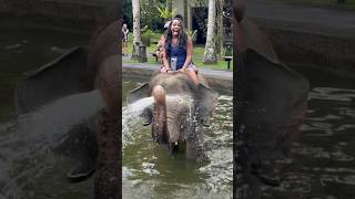 Let’s Ride An Elephant in Bali… #Travel #Explore #Bali #Indonesia #MasonElephantPark #HaveFun