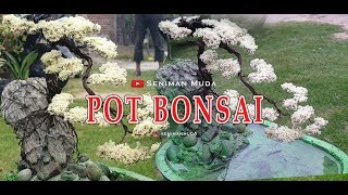 cara mudah membuat pot bonsai dari semen