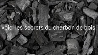 VOICI LES SECRETS CACHÉS DU CHARBON DE BOIS EN ÉLEVAGE