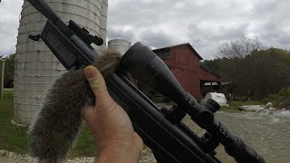 SQUIRREL HUNTING AN ABANDONED DAIRY FARM ☆ SCOPED CROSMAN .22 PELLET RIFLE