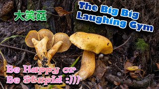 "Mysterious" Psychoactive Laughing Gym😆😆Be Happy Or Be Stomach Grumpy???