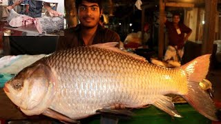 This huge fish was cut in a short time | Nice Fish Cutting Scene | Fish Cutting | All In One | Fish