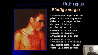 [HISTOLOGÍA] Seminario 1: Epitelio Parte 2