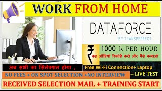 DataForce | Hindi Job | Work From Home Jobs|Online Jobs at Home | Part Time Job | Job