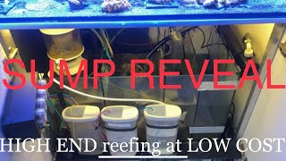 Aquarium Sump EXPLAINED - FULL TOUR!