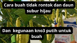 cara buah tidak rontok dan bunga daun hijau subur