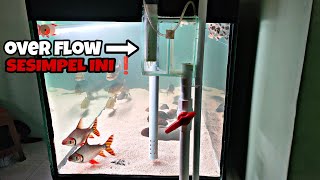 OVER FLOW TANPA MELUBANGI KACA AQUARIUM❗FILTRASI ANTI LUBER TANK PREDATOR 150CM