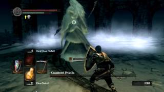 dark souls- the battle of the scythe wielders