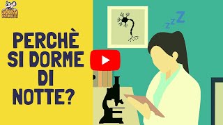 5 Teorie del perché dormire di notte è meglio | i consigli del GhiroParlante