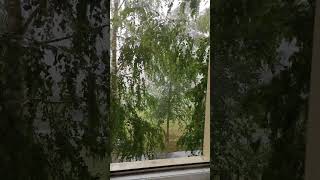 здесь сильный дождь⛈️( heavy rain here⛈️)