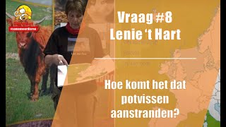 Vraag #8 DierenLot - Lenie 't Hart