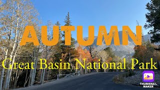 FALL at GREAT BASIN  NATIONAL PARK #autumn #greatbasin #fallseason #yellowleaves #aspen