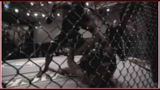 Proof That Kimbo Slice Beats Roy Nelson