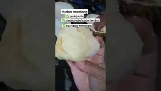 Durian Montong no drama pusing kebanyakan makan durian😬