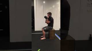 Seated Overhead Press