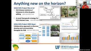 Scouting and Management of Citrus Diseases (HLB, Phytophthora, Leprosis)