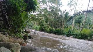 Waspada !!!  hati hati mandi di sungai,,, tak ada hujan kok banjir