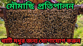 মৌমাছি চাষ||মৌমাছির জীবন চক্র||মৌমাছি কিভাবে মধু সংগ্রহ|| Honey bee farming||bee complete life cycle