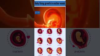 Baby doing growth in mother womb | baby growing in the womb #embryo #baby #month