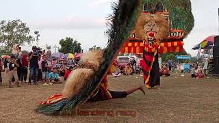 SOLAH DADAK MERAK REOG PONOROGO GALUH SURYO HONGGOLONO, SINGO GELANG JOYO NAILAN#dadakmerak #reog