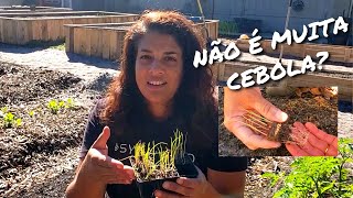 NÃO PLANTE CEBOLAS ANTES DE VER ESSE VÍDEO!🧅