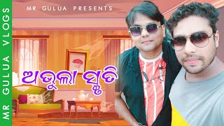 ଅଭୁଲା ସ୍ମୃତି //abhula smruti//Mr gulua vlogs// vivek Mohapatra