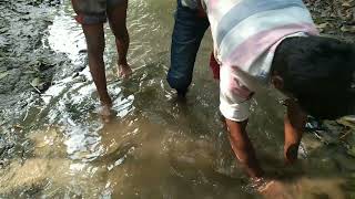 Best taki underwater hand fishing.Catching catfish by primitive Techngue Remove water Hyacinth