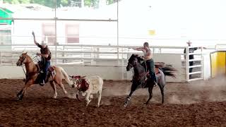 #8.5/4.5 Team Calf Roping