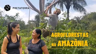 AGROFLORESTAS NA AMAZÔNIA