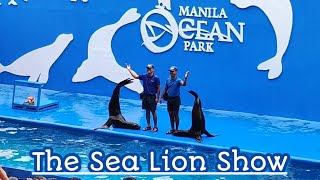 Manila Ocean Park 2023 Adventure with Hailey & Sofey part 3 | The Sea Lion Show | Manliguez Twins