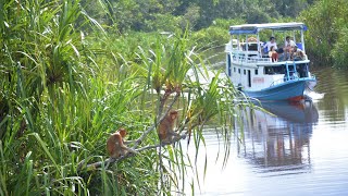 Let's go to Tanjung puting national park the Central Borneo INDONESIA