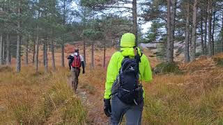 Tom a' Chòinich and Toll Creagach, Glen Affric 2