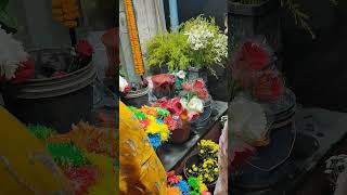 flowers #flowers #youtubeshorts #trending #reels #villagelife