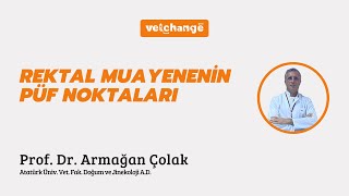 Rektal Muayenenin Püf Noktaları ''Prof. Dr. Armağan Çolak''