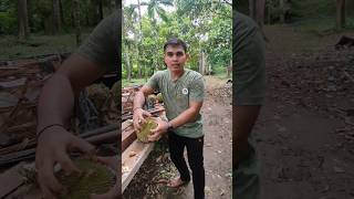 mencari durian di dalam hutan part 2