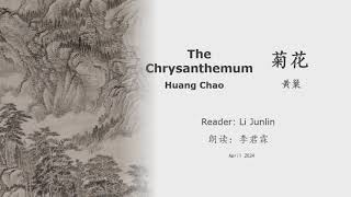 真人 童声朗读 汉英双语 菊花  黄巢 The Chrysanthemum