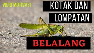 MOTOVASI KEHIDUPAN, Kotak dan Lompatan Belalang