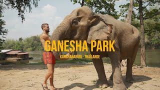 Ganesha Park, maison de retraite pour éléphants à Kanchanaburi en Thaïlande