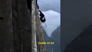 This guy took a trip on a floating chunk of ice!