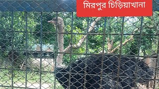 মিরপুর চিড়িয়াখানা | National Zoo Mirpur | #viralvideo  #trendingvideo #visitingzoo #mirpurzoo