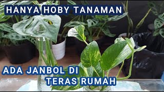 ADA JANBOOL DI TERAS RUMAH