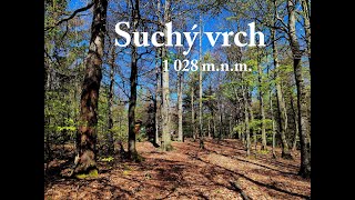 Suchý vrch 1 028 m.n.m. - 5.5.2024