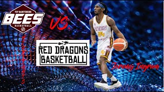 Highlights Red Dragons Vs. Bargteheide