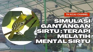 Simulasi Gantangan Sirtu : Terapi Melatih Mental Sirtu