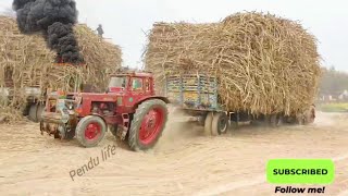 Belarus tractor 510 top power_ pull hevey loaded sugarcane trailer _ Tractor🚜 _ Belarus _ PVT