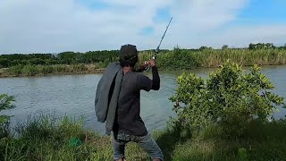 mancing predator air tawar || Fished freshwater predators