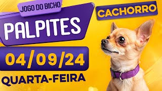 PALPITE DO DIA 04/09/2024 - JOGO DO BICHO 🍀 TODAS AS LOTERIAS 🍀