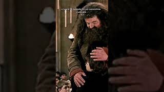 Hagrid do Harry Potter foi baseado em uma pessoal real #shorts #harrypotter #hagrid #harrypotterfan