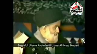 Shahadate Imam Ali a.s | Ayatollah Syed Ali Naqi Naqqan Taba Sarah | Masaib Imam Ali a.s