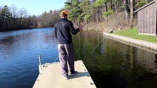 PINEHURST LAKE , LEARNING TO FLY(FISH)